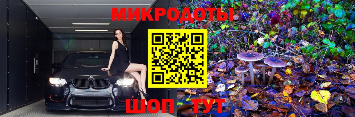 Галлюциногенные грибы Magic Shrooms Сургут